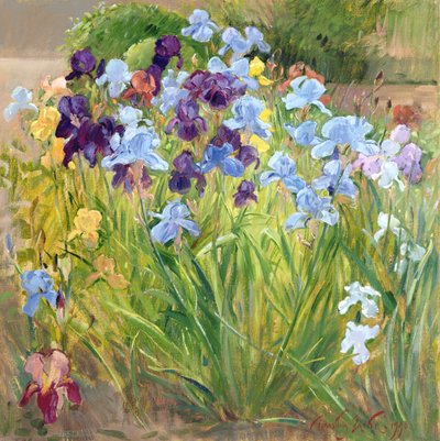 Das Irisbeet, Bedfield, 1996 von Timothy Easton